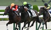 【阪神5R新馬戦結果】フィレンツェファイア産駒シラヌイが差し切り勝ち