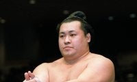 【平成の名力士列伝：追風海】玄人を唸らせた技巧派力士の輝きとケガに泣いた大相撲人生