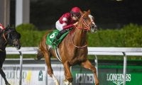 【アイリッシュチャンピオンS結果】シンエンペラーは6着 3歳馬ドラクロワが完勝でG1・2勝目