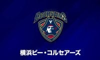 横浜ビー・コルセアーズに再び試練…新戦力のターズースキーが全治2カ月程度の負傷