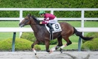 【新馬/阪神6R】単勝1.7倍ウェイニースーが7馬身差デビューV…ウマ娘・藤田晋氏所有馬