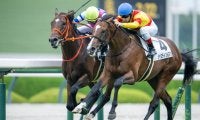 【新馬/阪神5R】ハービンジャー産駒 ブルースカイブルーがハナ差V