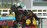 【競馬予想】堅い決着が多いセントライト記念だが、今年は人気の盲点となっている穴馬候補が２頭いる