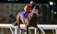 【大井・東京記念枠順】23年にダートグレード競走2勝のグロリアムンディは7枠12番