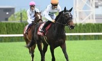 神戸新聞杯、オールカマーなど3重賞/今週の競馬界の見どころ