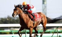 1位はグランプリホースの快勝劇 オールカマーの勝ち時計ランキング