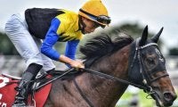 【オールカマー】15年ぶりの7歳馬Vなるか 古豪ヨーホーレイクが重賞4勝目狙う