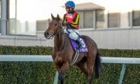 【オールカマー展望】データが後押しする4歳牝馬レガレイラが秋初戦を飾る