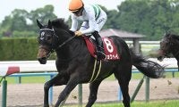 【神戸新聞杯枠順確定】ショウヘイは5枠5番、エリキングは8枠10番