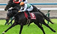 【神戸新聞杯】現役最多タイの3勝目へ 友道康夫調教師がショウヘイ＆ライトトラックの2頭出しだ