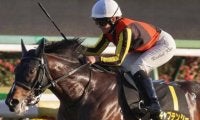 【大阪スポーツ杯】母はヴィクトリアマイル覇者のアドマイヤリード キャプテンシーがダートに初挑戦だ