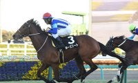 【競馬予想】オールカマーで注目の「中山・2200ｍ」に強い血統は？　人気馬を脅かしそうな２頭をピックアップ