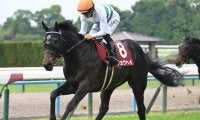 【神戸新聞杯予想】阪神芝2400mでの開催は父サンデー系の馬に良績が集中！ 父ミスプロ系の馬が苦戦傾向にある要因とは