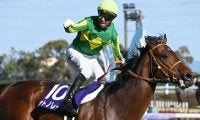 秋のGI戦線開幕を告げるスプリンターズSとシリウスS/今週の競馬界の見どころ