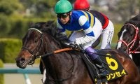 【シリウスS見どころ】ジンセイの重賞初制覇に期待