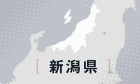 高校軟式野球県大会　新潟商が優勝