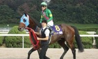 【先週のJRA抹消馬】JpnI馬タガノビューティー、ダート短距離で活躍のルクスメテオールなど