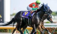 豪リーディングサイアー6回獲得 種牡馬で一大勢力を築いた「サートリストラム」を深堀り