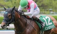 【スプリンターズS】伏兵で好走連発の松山弘平騎手 ピューロマジックで初制覇なるか