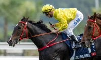 【スプリンターズS】出走馬調教後の馬体重…香港ラッキースワイネスは542kg
