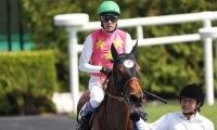 武豊騎手 今週の騎乗馬…スプリンターズSはジューンブレアとのコンビ