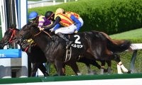 【ヤマボウシ賞結果】ペルセアが接戦を制しデビュー2連勝
