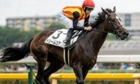【サフラン賞】母は名牝ノームコア ドリームコアがデビュー2連勝なるか