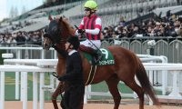 【競馬予想】豪華メンバーが集結したスプリンターズＳ　人気勢の影に隠れた実力馬２頭の一発に期待