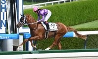 【阪神4R新馬戦結果】オルフェーヴル産駒ジュウリョクピエロが3馬身半差で快勝