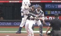 始球式で珍事　鷹・野村が死球受けナイン爆笑…スイングしながら回避できず