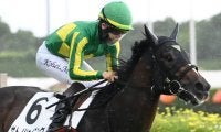 【毎日王冠見どころ】年長馬に立ち向かうサトノシャイニング