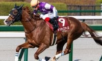 【京都大賞典】史上4頭目の偉業なるか サンライズアースが重賞2勝目狙う