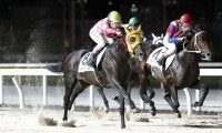 【YJSトライアル船橋】地方・山本大翔とJRA・横山琉人が白星発進