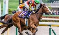 【毎日王冠】オークス馬が勝てば69年ぶり チェルヴィニアが完全復活なるか