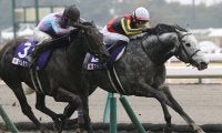マッドクールが引退…種牡馬入り