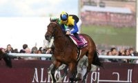 前哨戦を制し凱旋門賞に挑んだ馬たち 海外馬券発売第1号となった16年ダービー馬マカヒキの挑戦