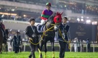 【東京盃】クロジシジョーなどJRA馬5頭