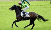 武豊騎手 今週の騎乗馬…毎日王冠ではサトノシャイニングとのコンビ