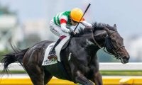 【東京7R】未勝利馬サラスヴァティーがライバルを完封