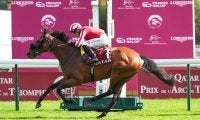 【仏カドラン賞】英カバーヨデマール、伝統のマラソンレースを制する…スコット調教師はG1初勝利