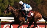 【競馬予想】凱旋門賞は好配当ゲットのチャンス！　日本発売ゆえ人気の盲点となる海外の穴馬３頭