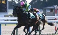 【毎日王冠予想】過去10年で8勝の1番人気馬に死角は？ 過去データから探るGII毎日王冠