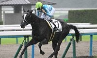 【京都5R新馬戦結果】シルバーステート産駒コウギョクが逃げ切り勝ち