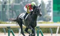 【サウジアラビアRC出走馬・騎手確定】ゾロアストロ＆C.ルメール騎手、アスクエジンバラ＆岩田康誠騎手など8頭