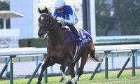 【スワンS出走馬・騎手確定】アドマイヤズーム＆坂井瑠星騎手、ワールズエンド＆戸崎圭太騎手など18頭