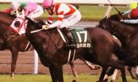 熊本産初のJRA重賞勝ち馬ヨカヨカの初仔 ヨカオウが待望のデビュー戦だ