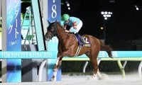 【東京盃】ヤマニンチェルキが交流重賞3連勝…トーセンサンダーはスタートで落馬