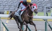 【陣馬特別】果敢に逃げた日本ダービー以来の復帰戦 ホウオウアートマンが自己条件で再出発だ