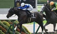 【紫菊賞結果】ロードラヴォールが競り合いを制し、レコードで無傷2連勝