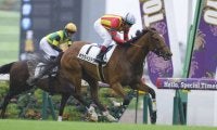 【東京7R】良血ボウウィンドウが連勝…母はフローレスマジック